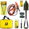 AA Battery Charger & Maintainer, For 6V & 12V Lead Acid and Gel Batteries - Black and Yellow