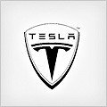 Tesla OBD2 Diagnostic Scan Tools & Resets
